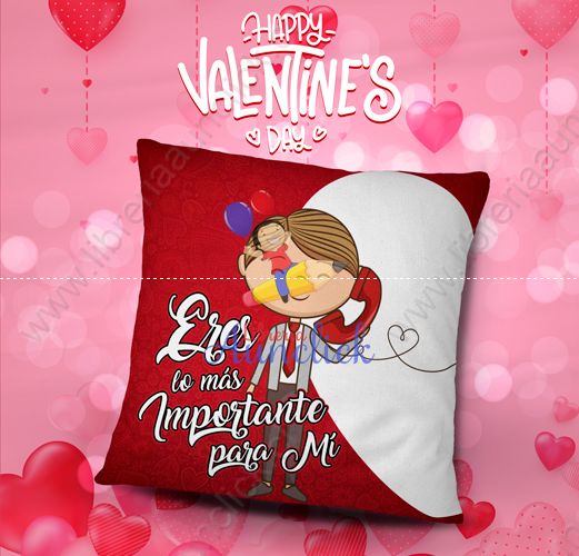COJIN DIA DE LOS ENAMORADOS